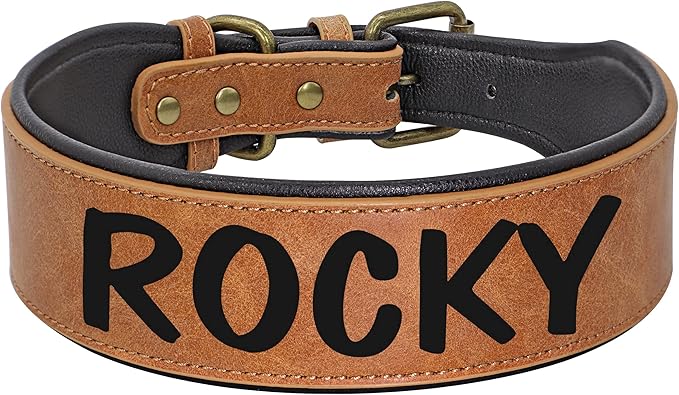 Custom Heavy Duty Large Dog Collar